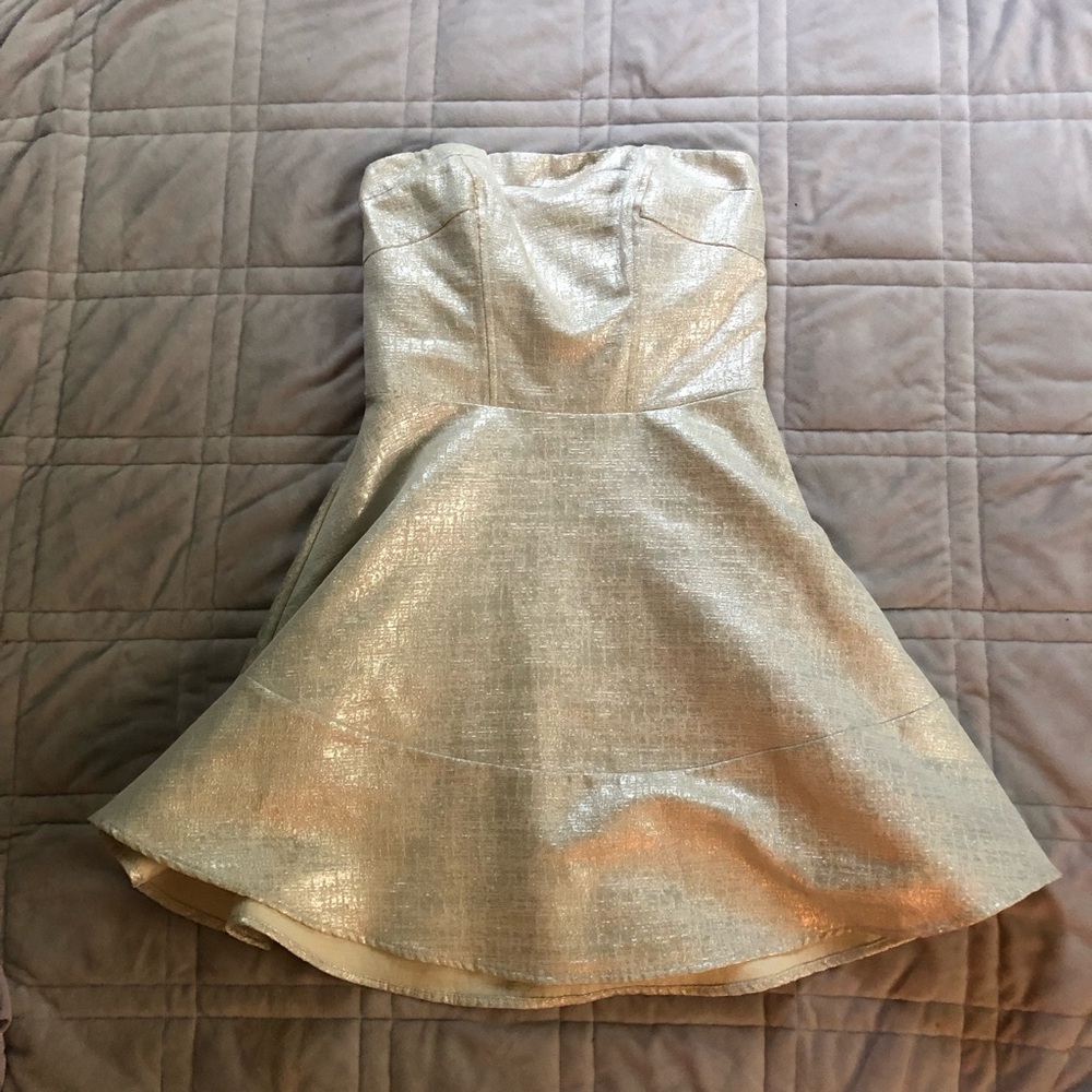 Express Metallic Silver Strapless A-line Dress